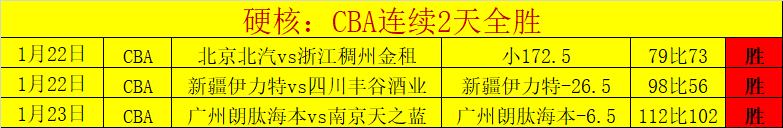 湖锋线悍将,表现抢眼,却遭出场时,新葡京,新葡京app,新葡京娱乐,新普京赌场