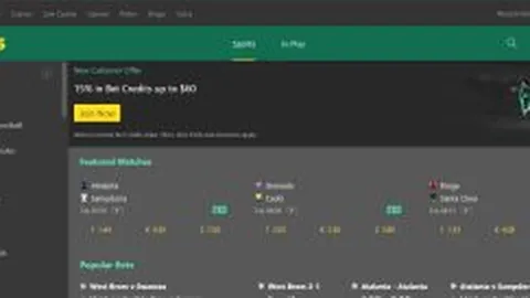 [中超焦点]浙江队引进陶强龙